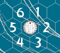 movement with 1d6